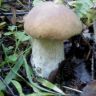 DSC00109.JPG