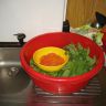 photo_00379.jpg