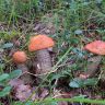 photo_00037.jpg