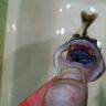 WP_20130126_003.jpg
