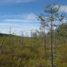 IMG_0092.JPG