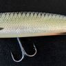 Jaguan Bent Minnow