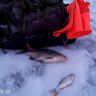 13280001.MOV_snapshot_00.05_[2015.01.18_21.19.50].jpg