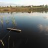 WP_000179.jpg