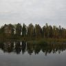 z_77c0284d.jpg