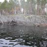 photo_00086.jpg