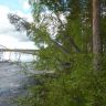 photo_00048.jpg
