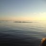 photo_00103.jpg