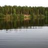 IMG_2511.jpg
