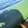 IMG_0612.JPG