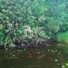 WP_20140730_004.jpg