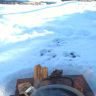 ухаWP_20170328_12_01_44_Pro.jpg