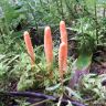 20180713_064141.jpg