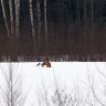 DSC09847.jpg