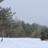 0_95d12_dd558844_L.jpg