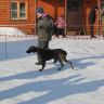 IMG_2984.JPG