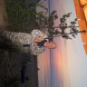 DSC07762.JPG