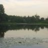 26072011244.jpg