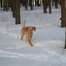 DSC00065.JPG