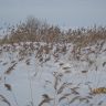 IMG_3834.JPG