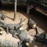 DSC07258.JPG