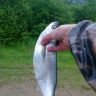 03062012290.jpg