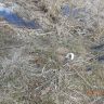 DSCN4939.JPG
