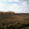 20141011_142721.jpg