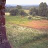 DMC_0427.JPG
