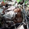 20180514_065203.jpg
