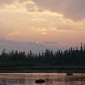 DSC00490.JPG