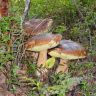 DSC03046.JPG
