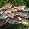 08072011152.jpg