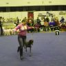 IMG_2559.JPG