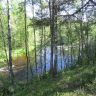 IMG_0462.JPG