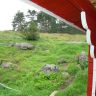 DSC01220.JPG
