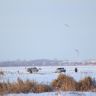 IMG_1249.JPG