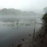 DSC01410.JPG