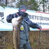 ВСЁ !!!