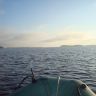 DSC02680.JPG