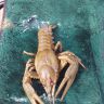 IMG_20140704_165759.jpg