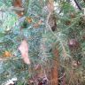20140906_101803.jpg