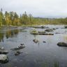 DSC03515.JPG
