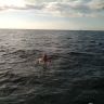 IMG_20140922_165922.jpg