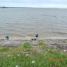 DSCN0955.JPG