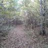 20130921_094736.jpg