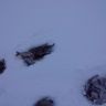 20161227_120419.jpg