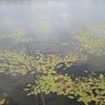 DSC02644.JPG