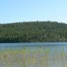 P1000937.JPG