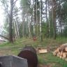 DSCF2675.JPG